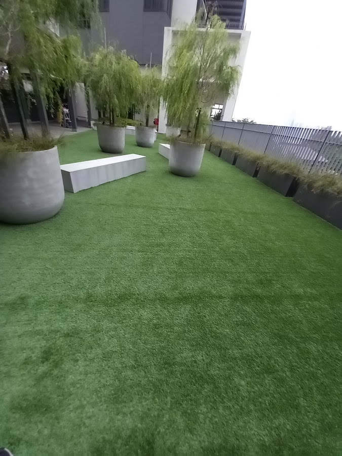 6 Kapas: a turfed roof terrace with potted trees