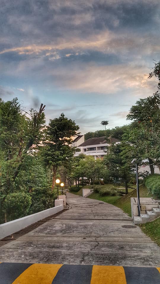 Sri Wangsaria: A pathway leading through landscaped grounds towards apartment buildings, with trees, a lamp post, and staircases visible in a residential development