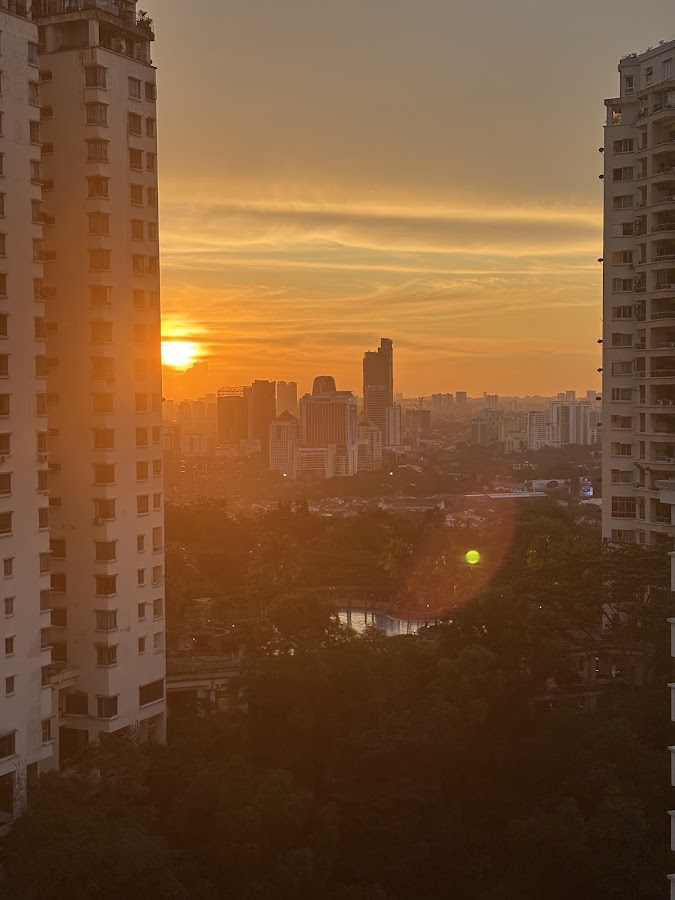 Acacia @ The Park Residences: the sun setting between the towers over the forest