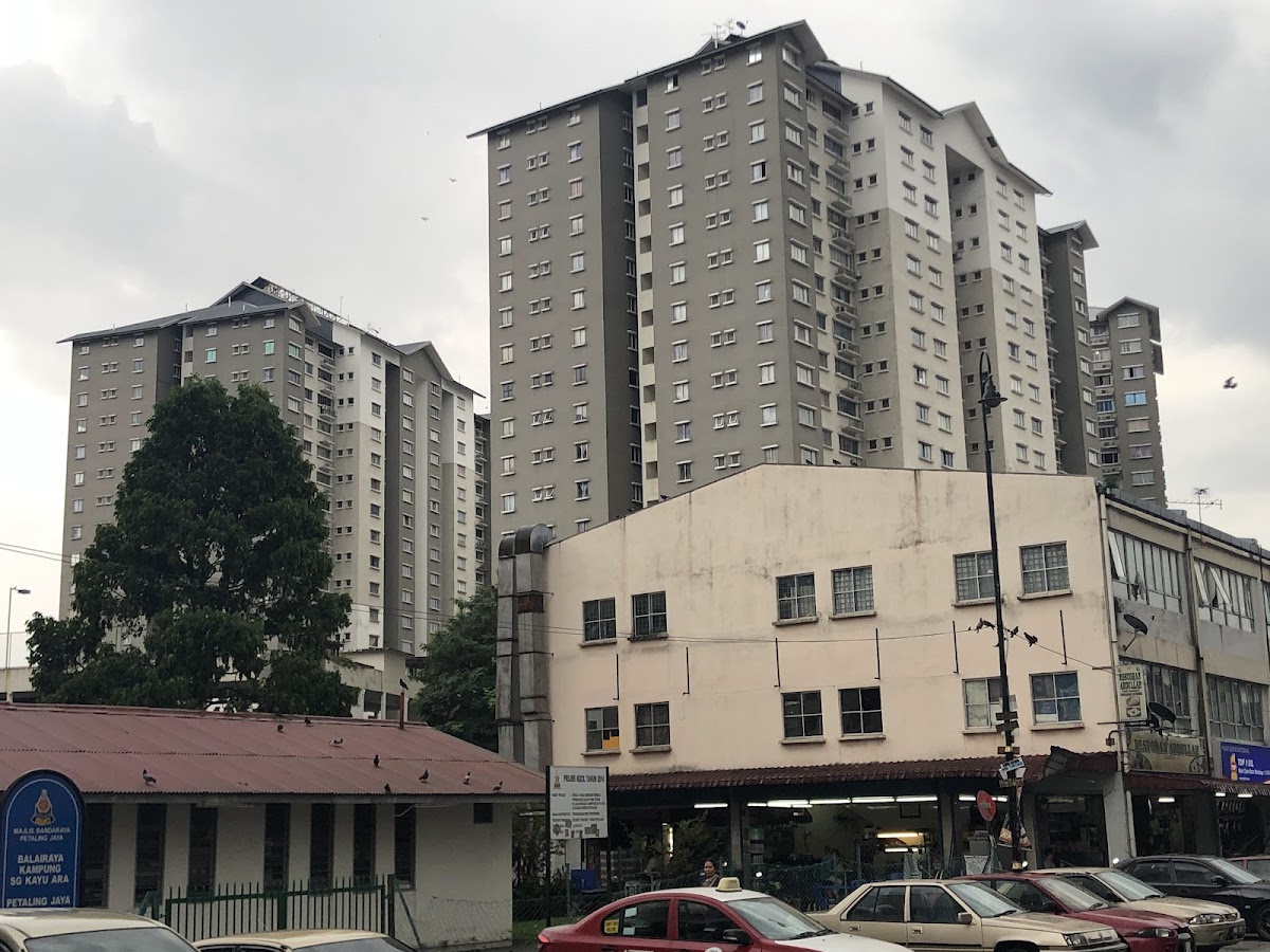 Flat Kayu Ara: the blocks rising behind the shophouses