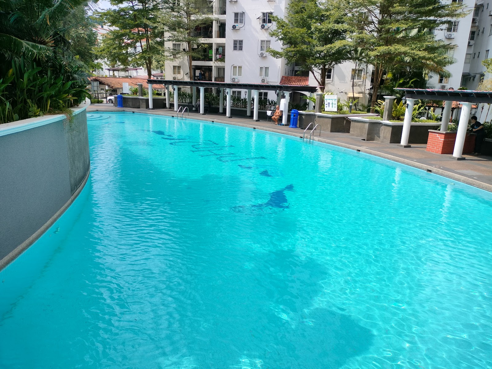 Pantai Hillpark 2: Outdoor swimming pool with curved edges, surrounded by trees and residential apartment buildings