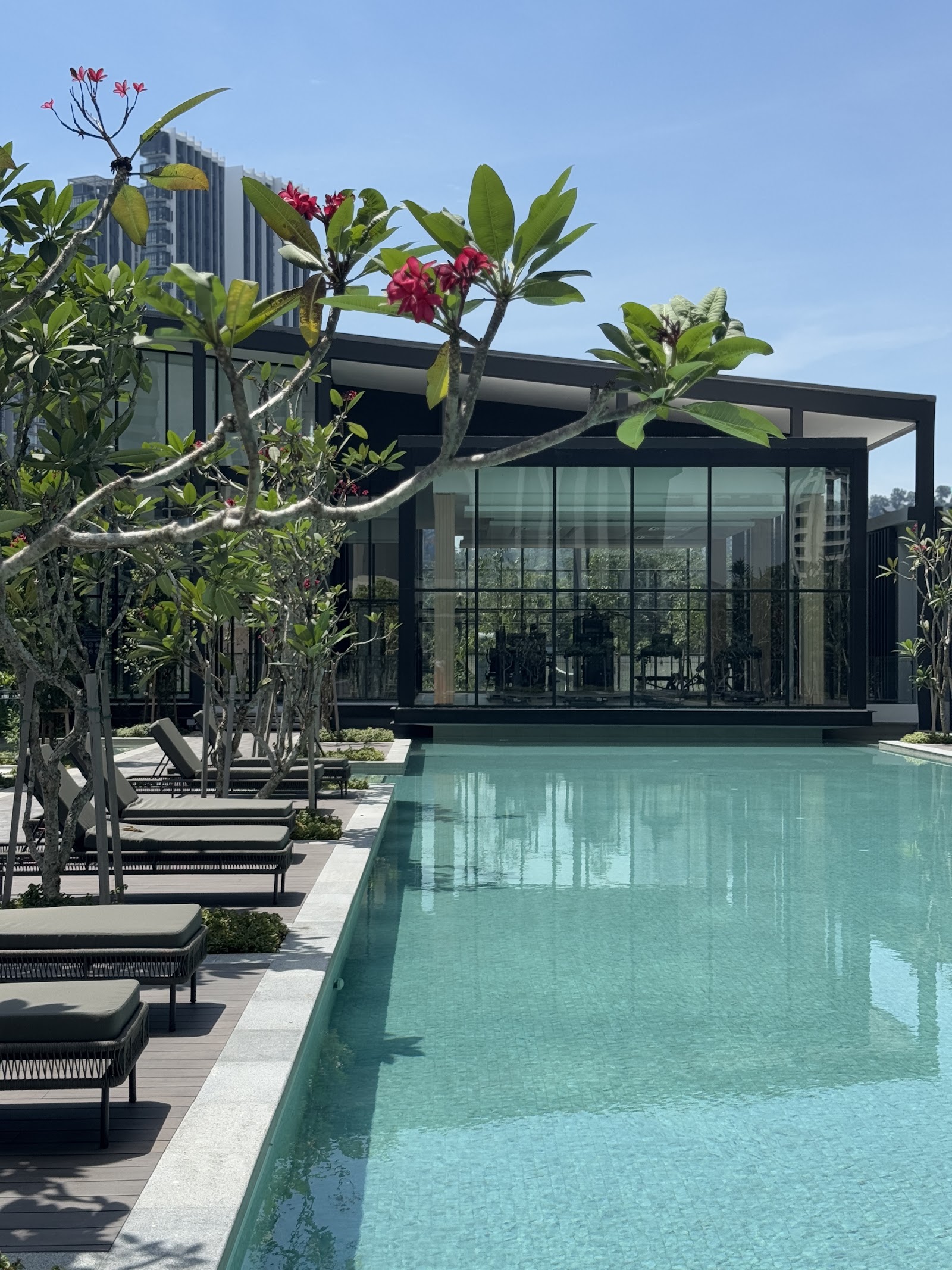 ALIX Residences: Outdoor swimming pool with lounge chairs and tropical plants beside a glass-walled gym building