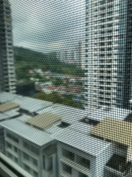 Ceriaan Kiara: Outlook through an insect screen to high-rise towers, low-rise houses and trees