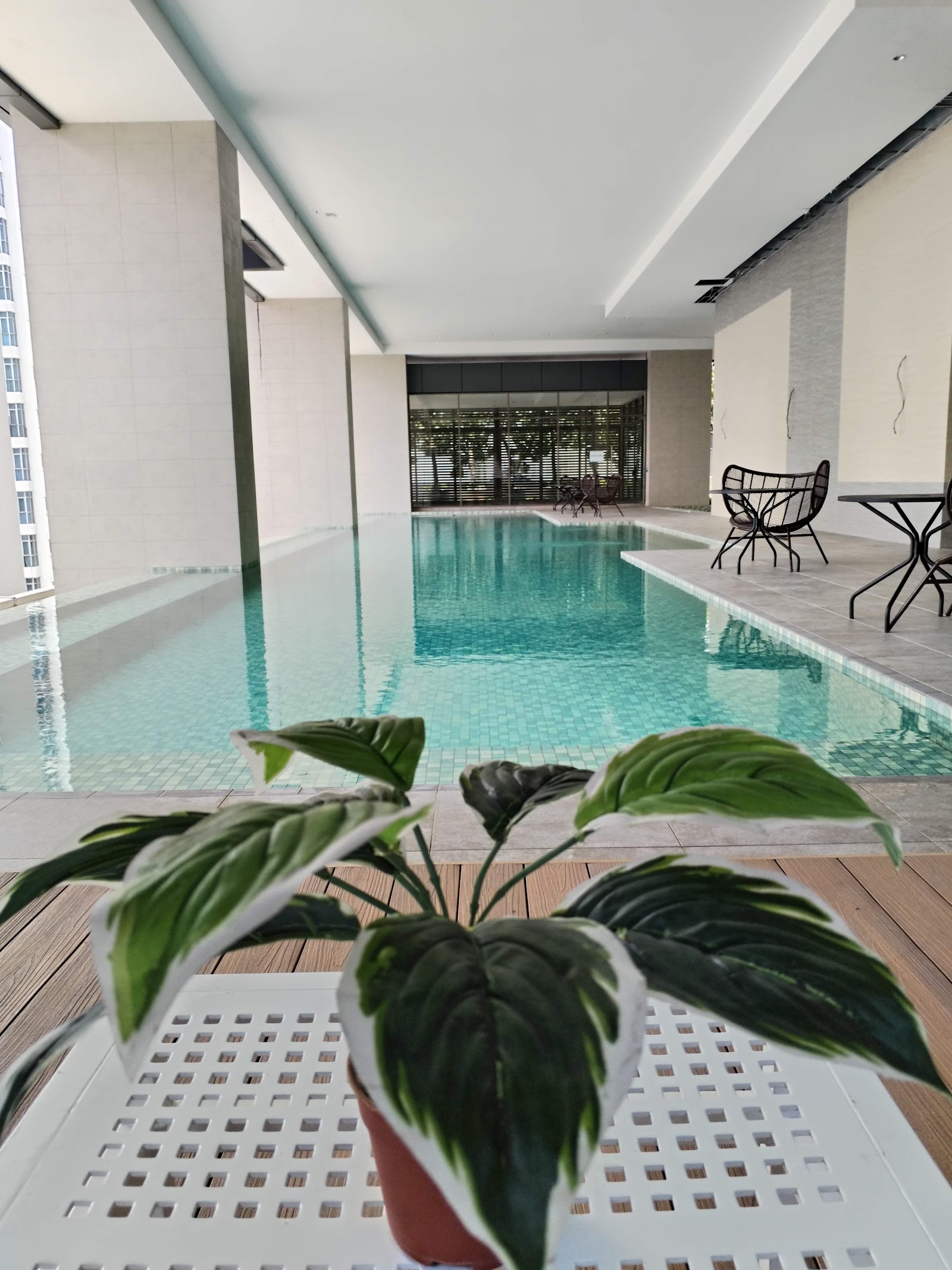 Pinnacle Bangsar: Indoor/covered swimming pool with lounge seating and a potted plant in foreground