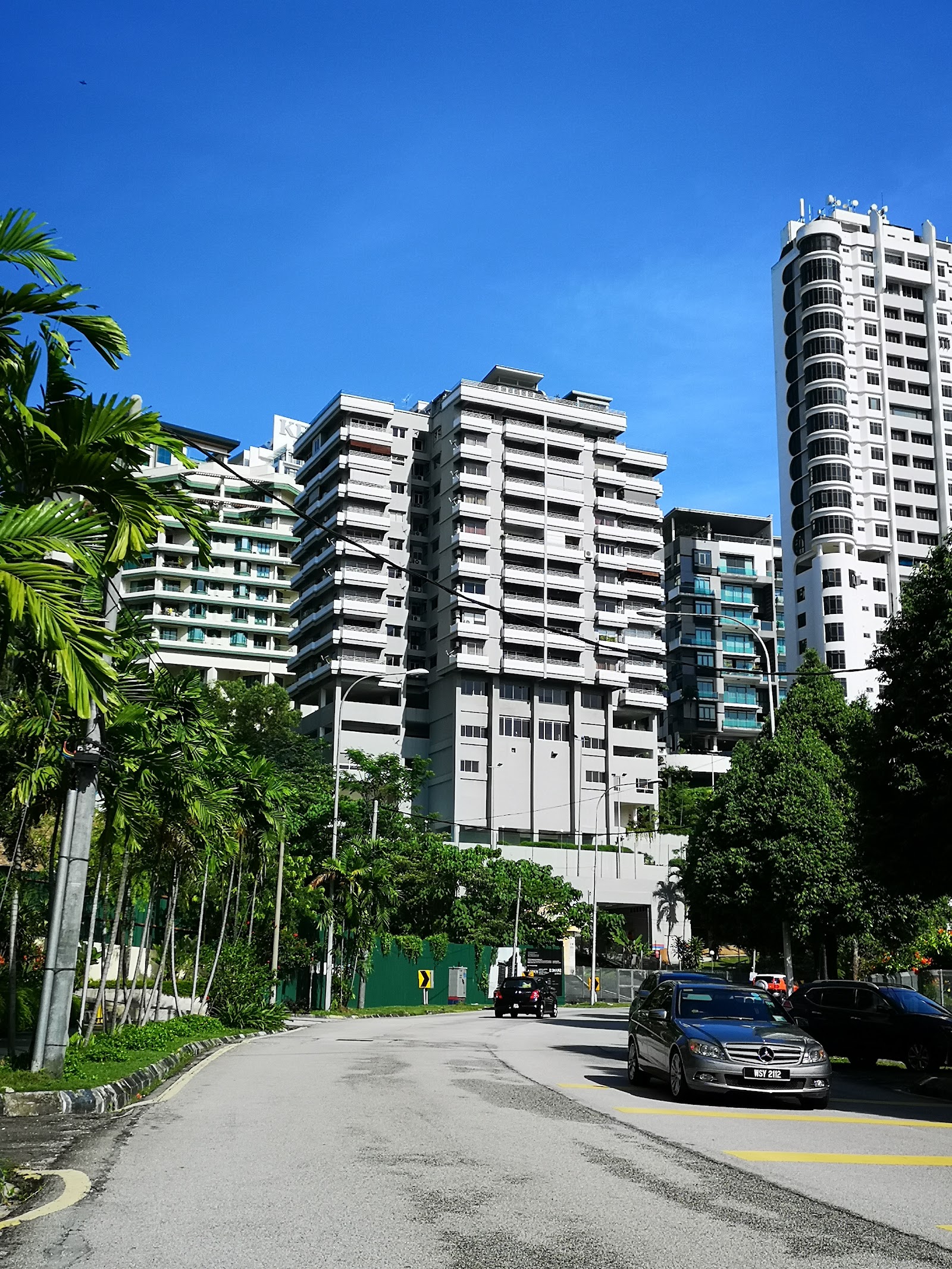 Park Rose: Street view of a residential neighborhood with tall white apartment towers, trees, and parked cars along the road