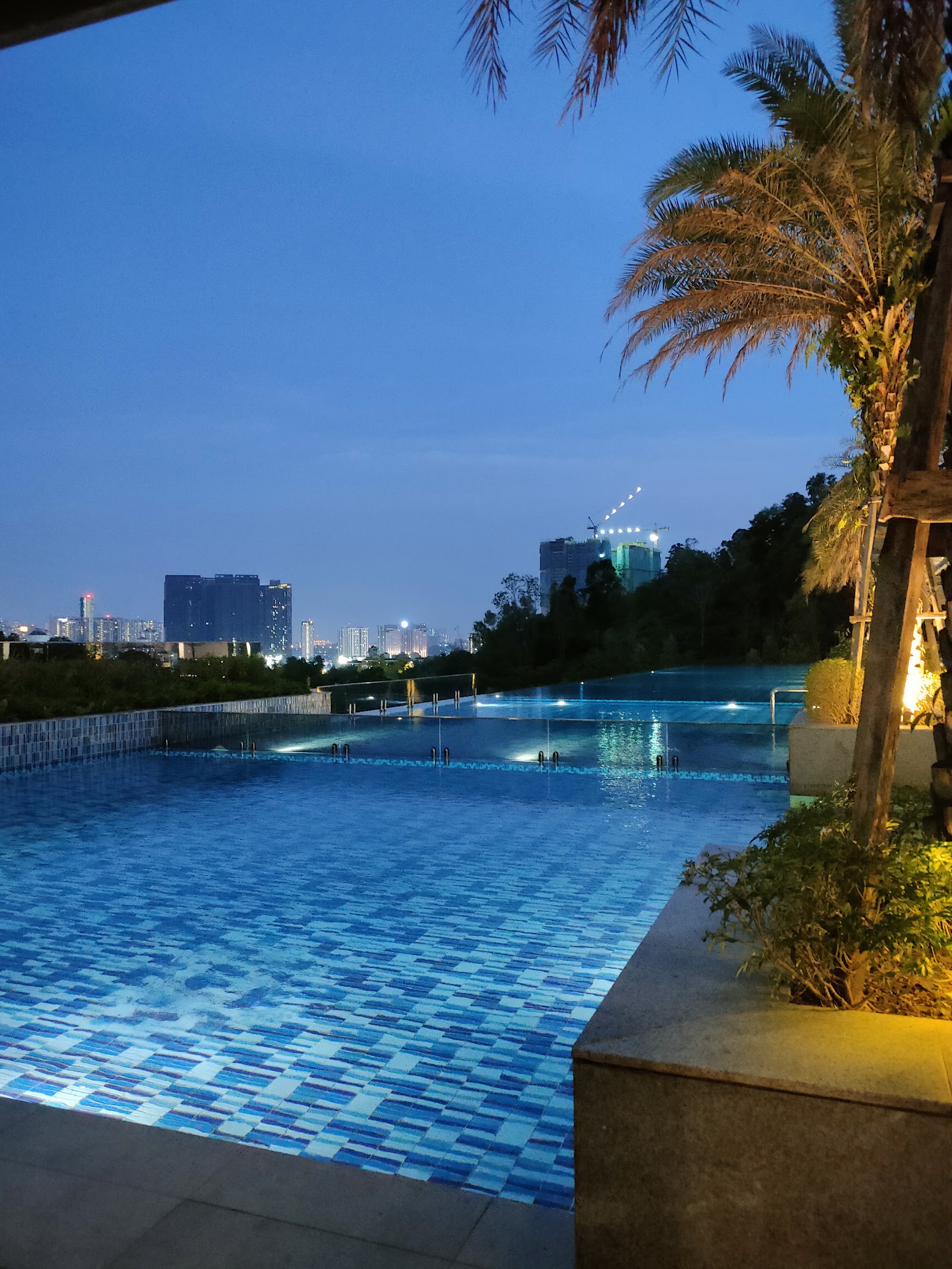 Secoya Residences @ Pantai Sentral Park: Infinity pool at dusk with city skyline view and palm trees