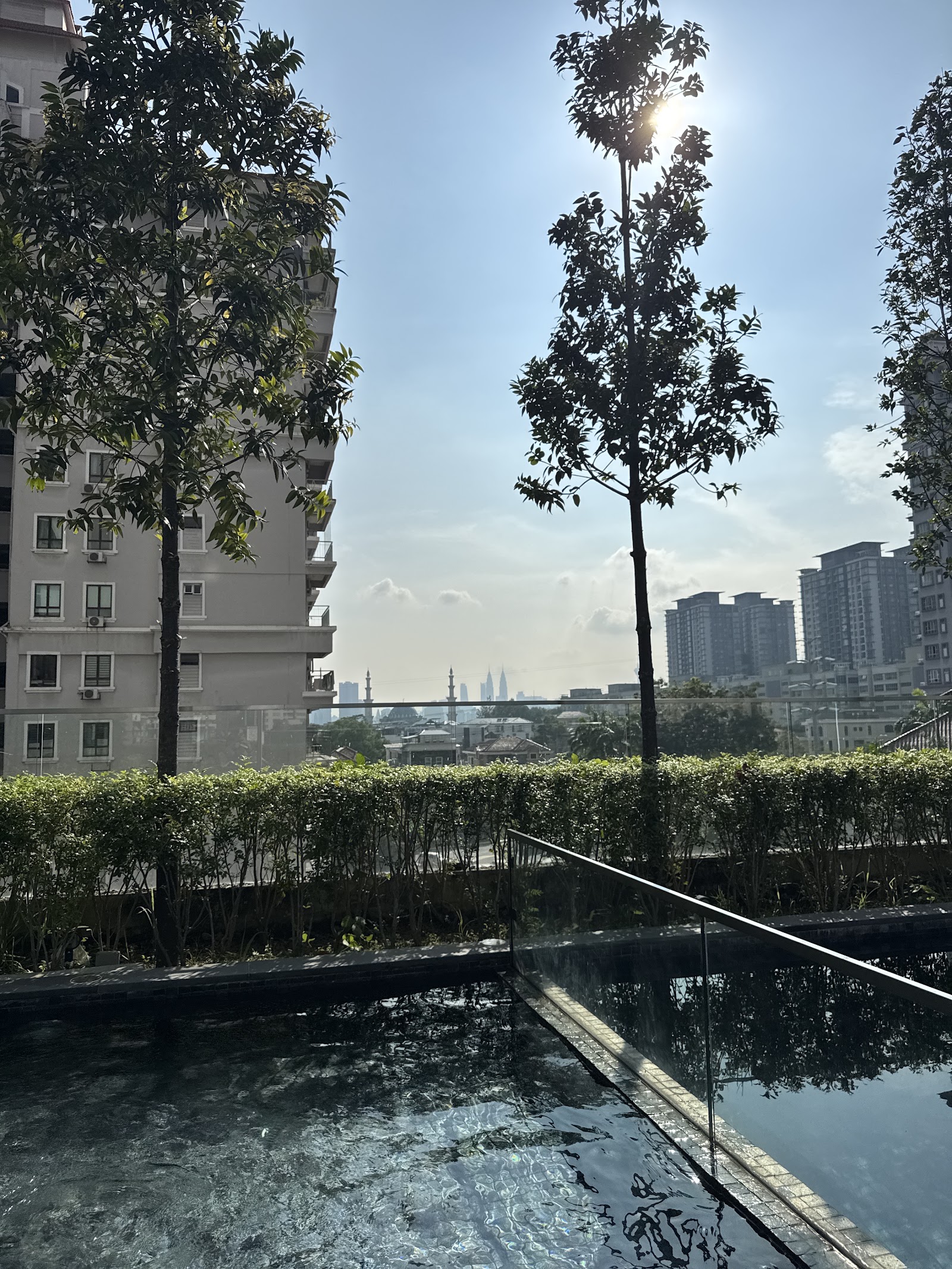 Kami: Rooftop infinity pool with city skyline view, surrounded by trees and hedges