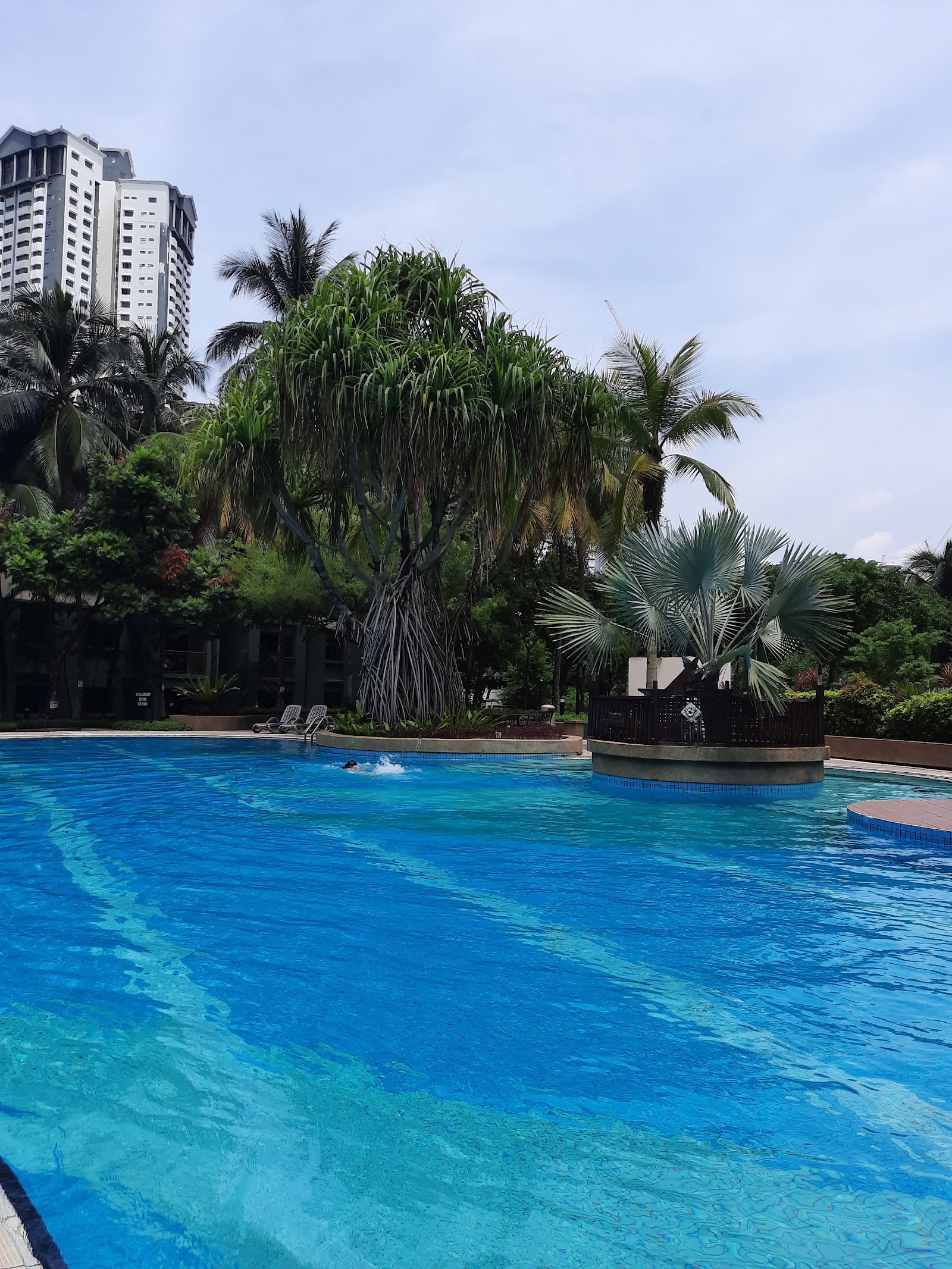 Mont Kiara Sophia: Outdoor swimming pool surrounded by palm trees with a swimmer, a poolside deck with lounge chairs, and high-rise buildings in the background