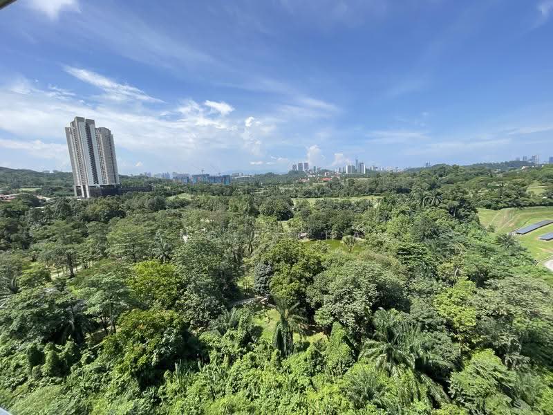 The Plaza Condominium: Dense tree canopy with distant towers under a blue sky