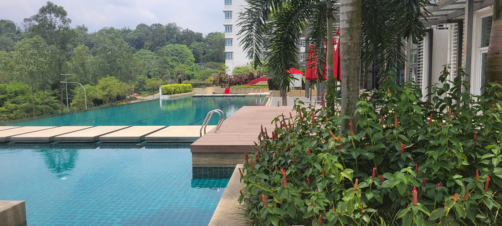 Saville @ The Park Bangsar: A swimming pool with a wooden deck, surrounded by tropical plants and trees, with a building visible in the background