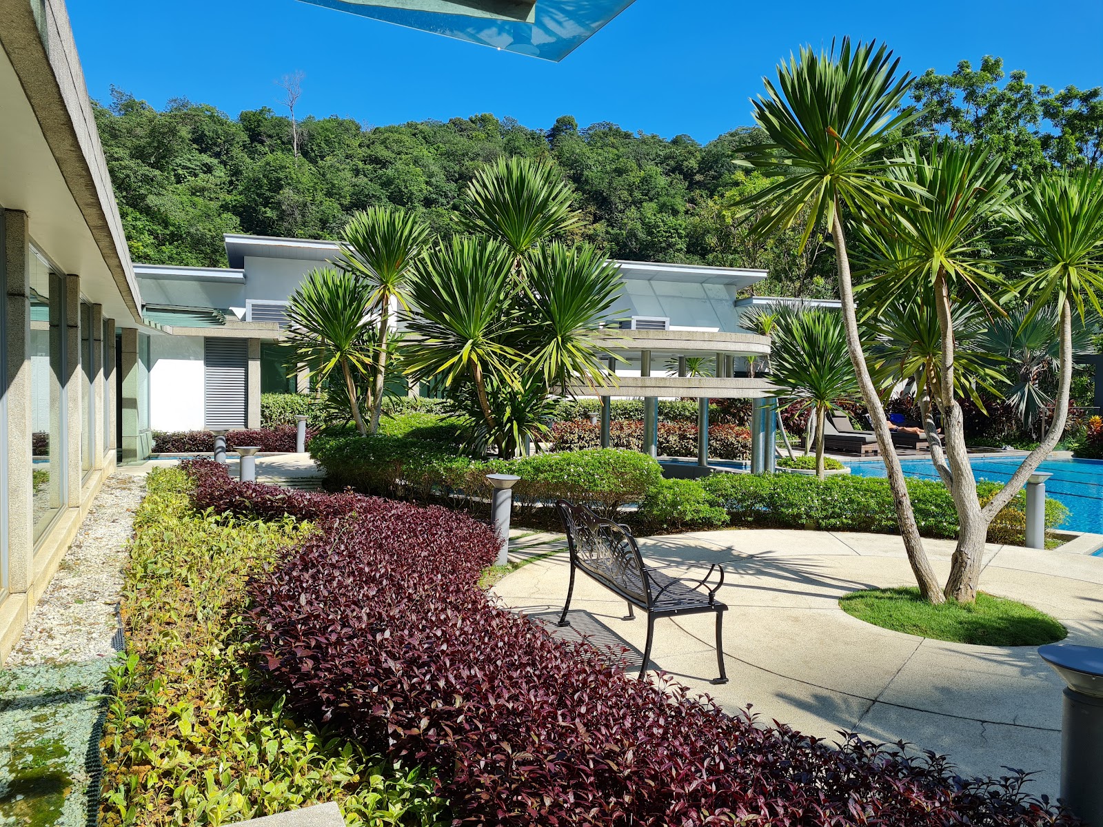 Kiaramas Cendana: Landscaped garden pathway with a bench, palm trees, and shrubs leading to a swimming pool area beside a modern building