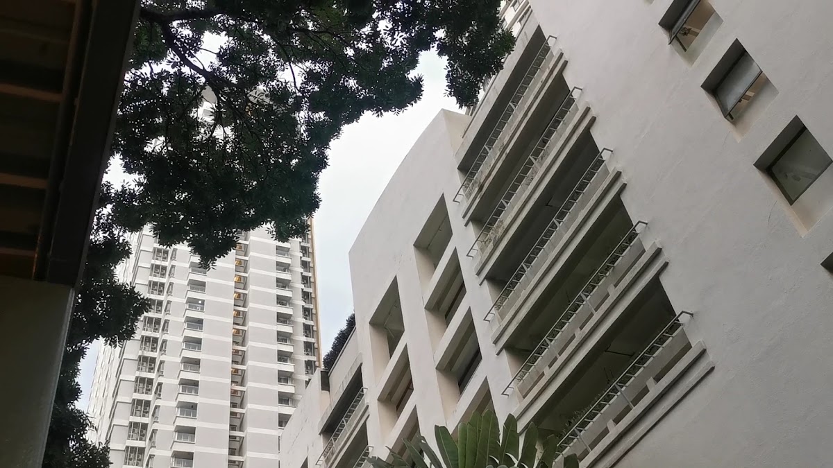 i-Zen @ Kiara 2: the blocks rising behind the trees