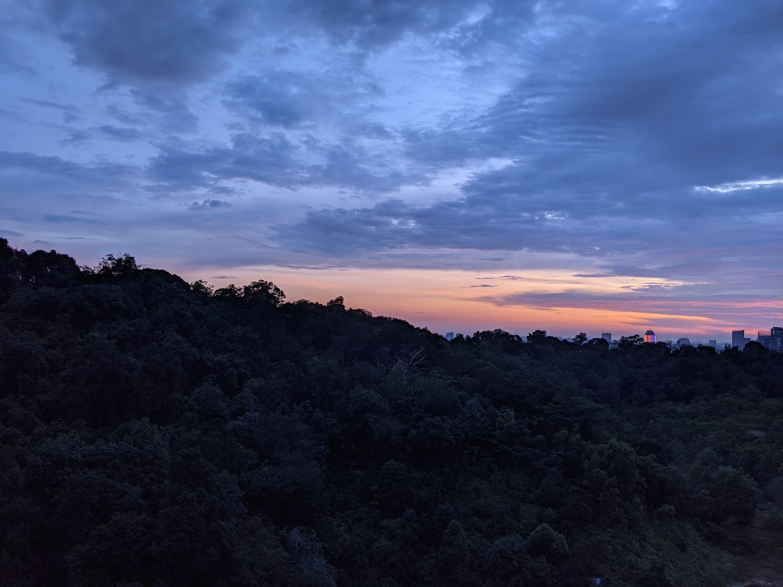 Inwood Residences: Sunset sky over a forested hillside with distant city skyline visible on the horizon