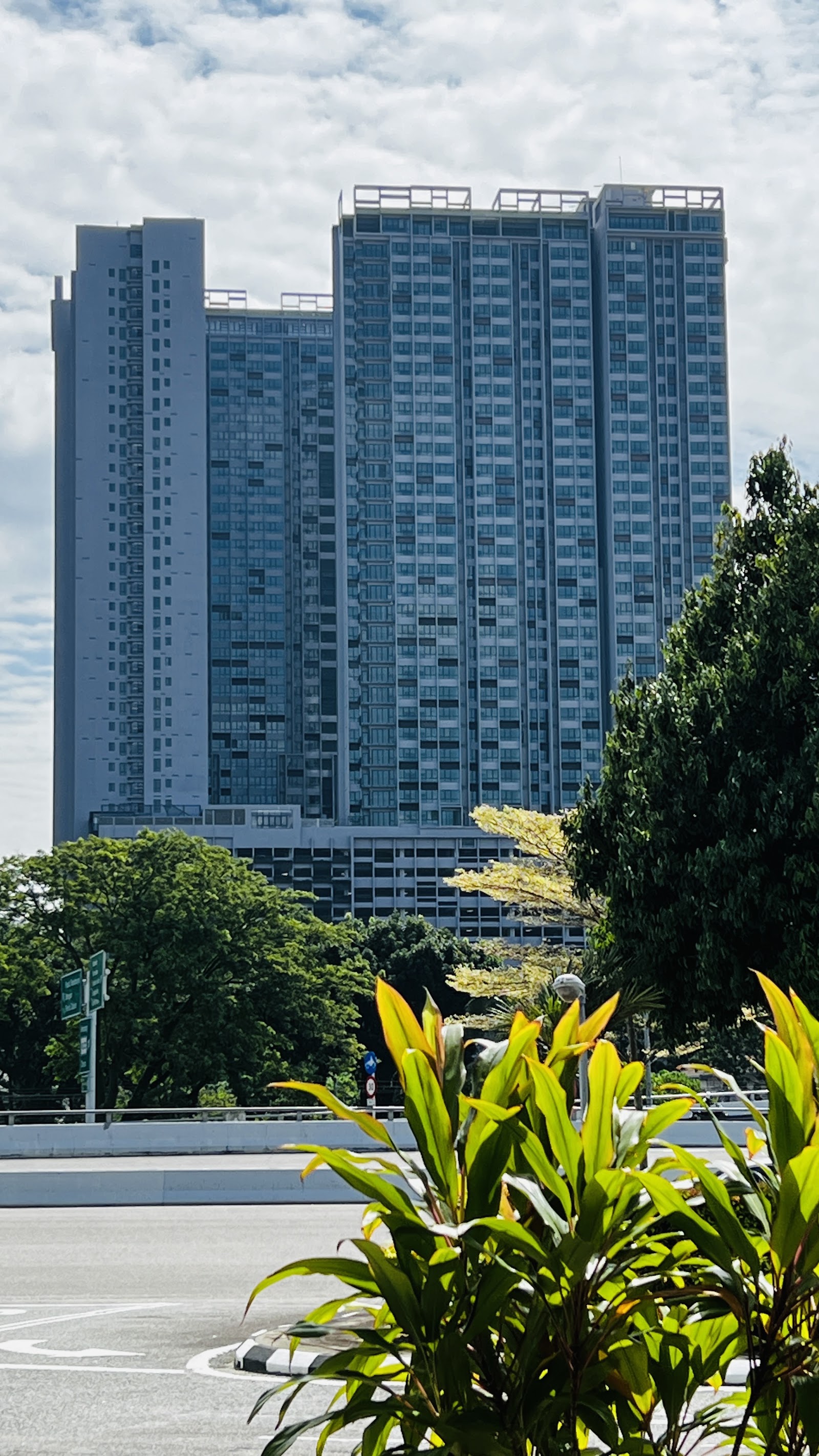 Cubic Botanical: View of tall high-rise residential towers seen from a street with trees and plants in the foreground