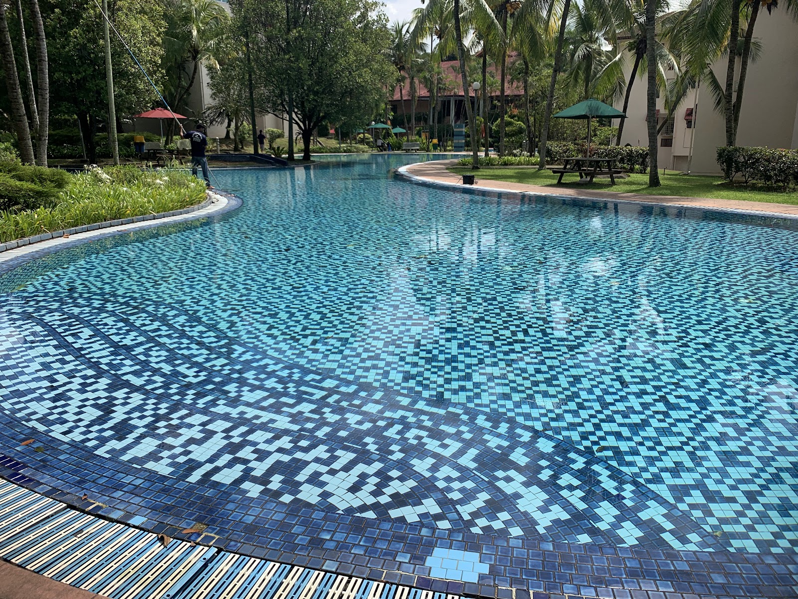 Kiara Park: A large curved swimming pool with mosaic tile pattern, surrounded by palm trees, umbrellas, seating, and buildings