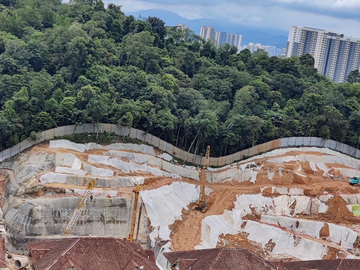 The MINH: the site's earthworks below a wooded hill