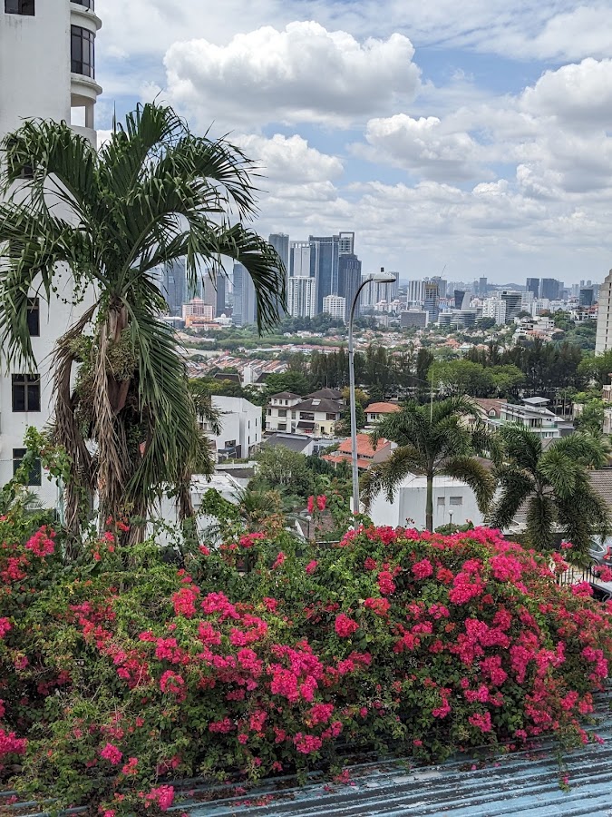 D'9 @ Bangsar: the city and landed homes beyond palms and bougainvillea