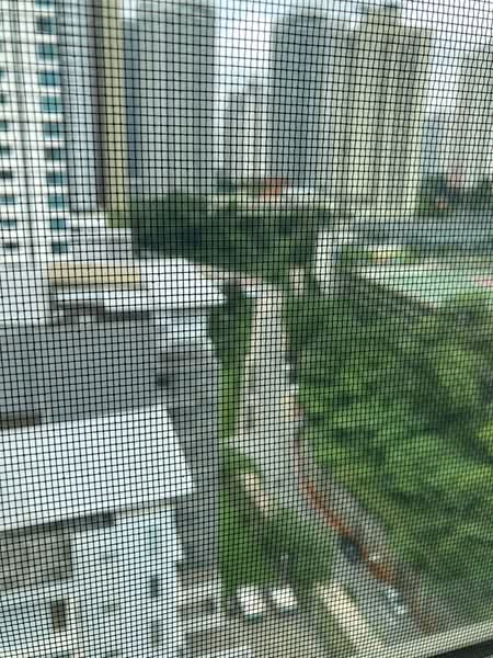 Ceriaan Kiara: Outlook through an insect screen to apartment towers, trees and a road