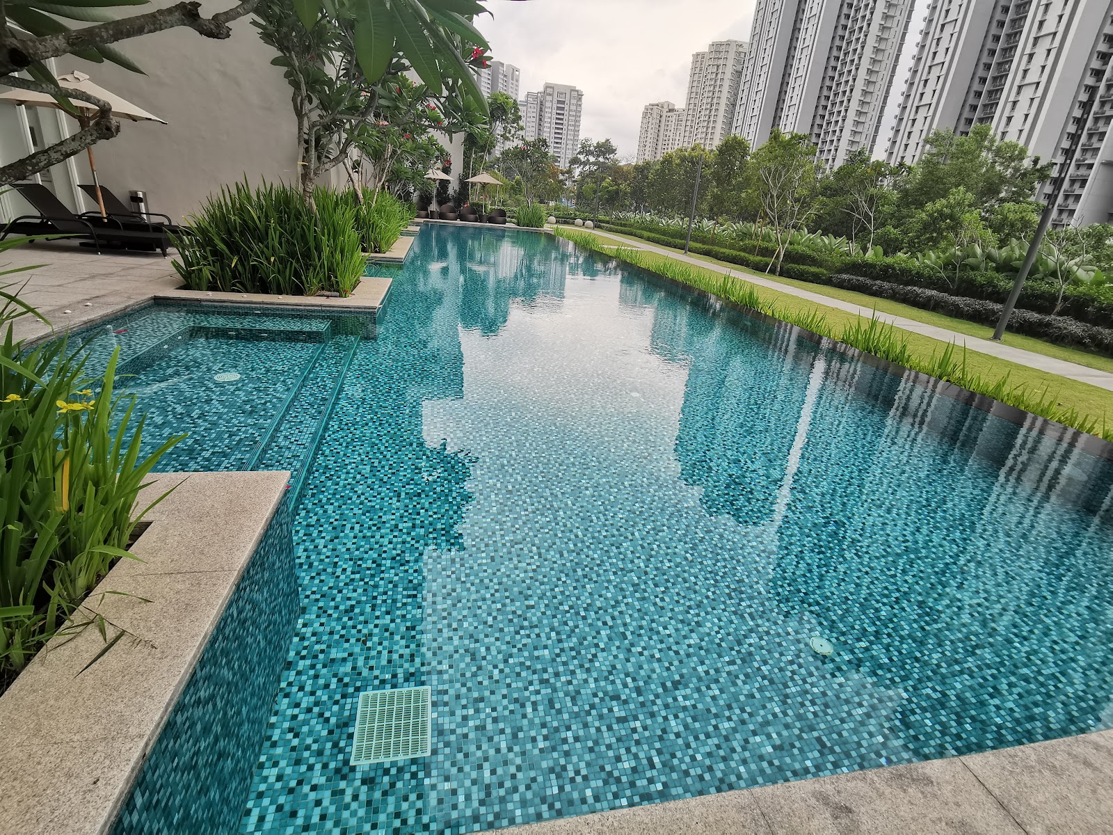 Pavilion Hilltop: Swimming pool with lounge chairs and umbrellas surrounded by greenery, with high-rise apartment towers in the background